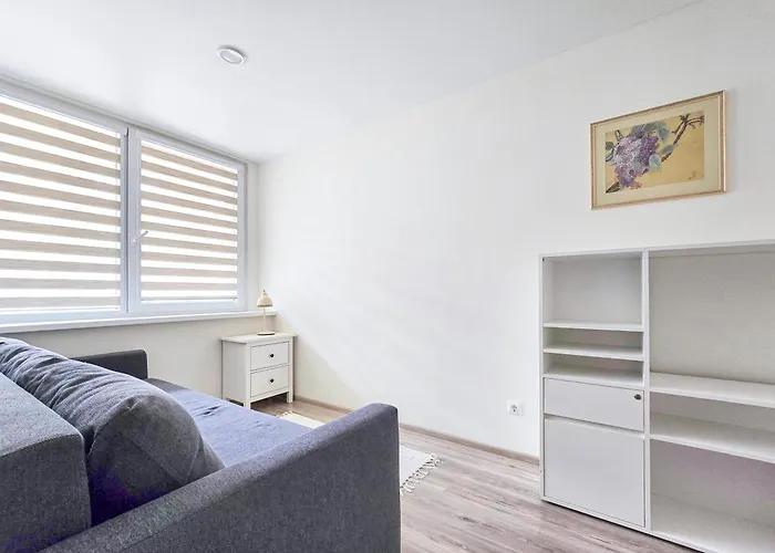 Baltos Kopos Seaside アパート *